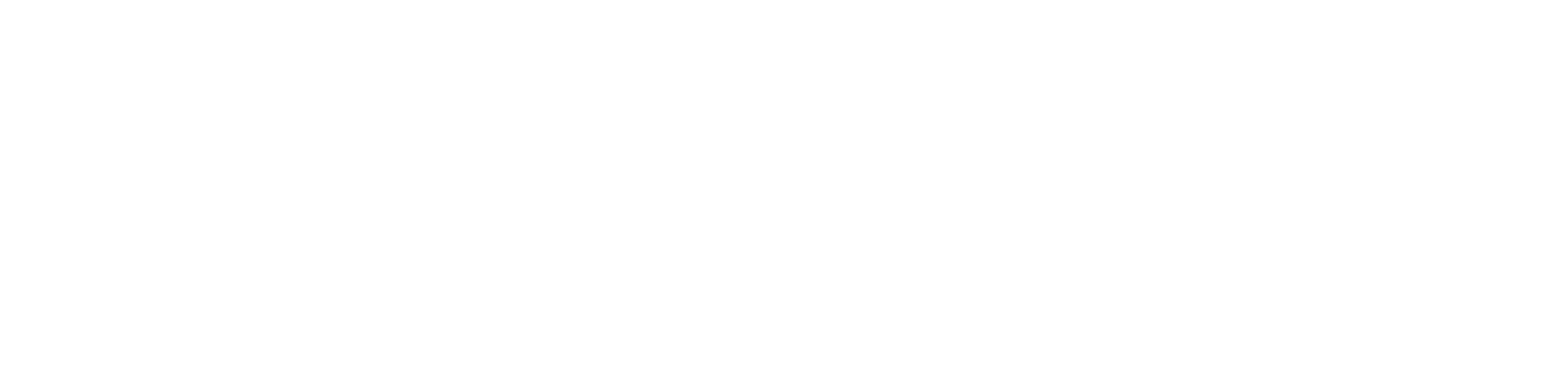 ChipInventor Logo